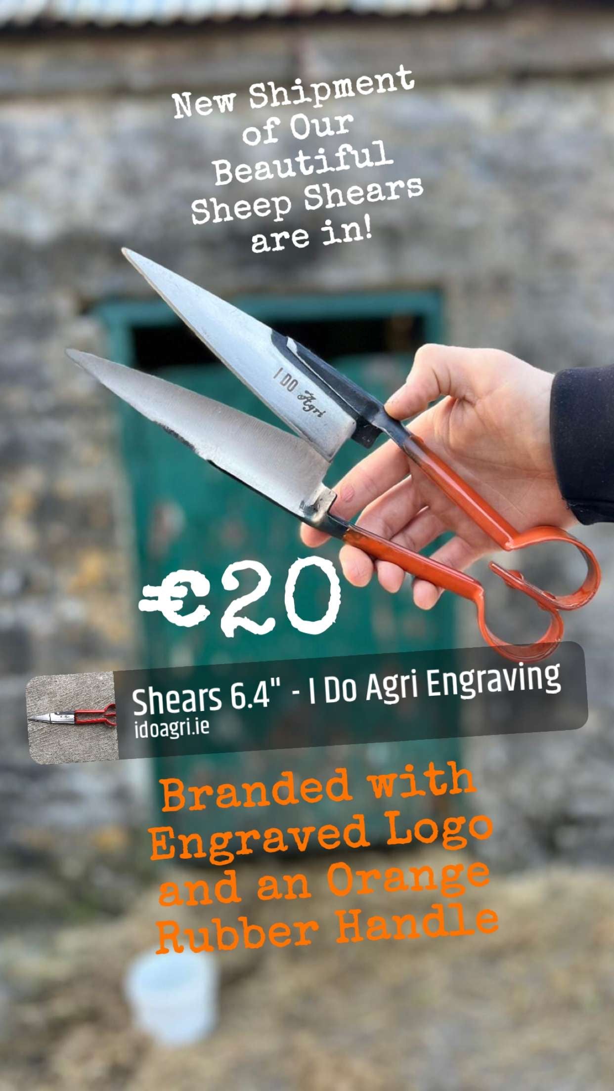 Double Bow Sheep Shears - Various Sizes Available